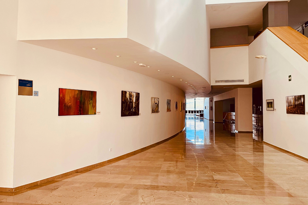 Fundación Frax Cultura Exposición Lugares Itinerancia Arte Artistas Altea Marina Baixa Alicante